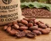 import cocoa beans from Cameroon to the USA